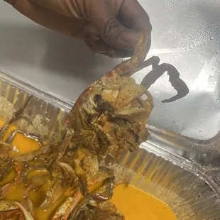 Straight Disappointment #Blue Crab Trays