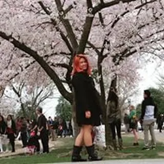 Tirintorn C.