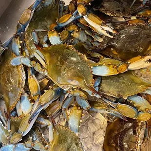 Fresh Crabs