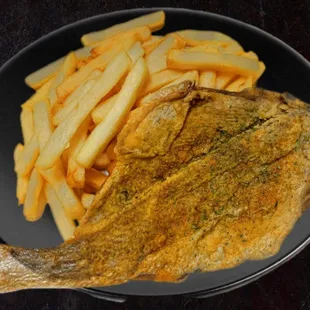 Croaker bone fish