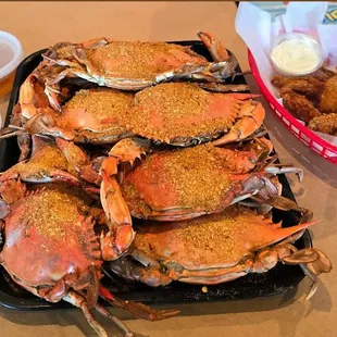 Hard Shell Crabs