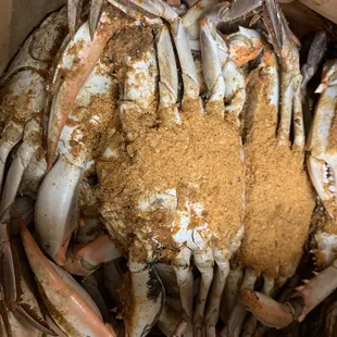 Jumbo Crabs