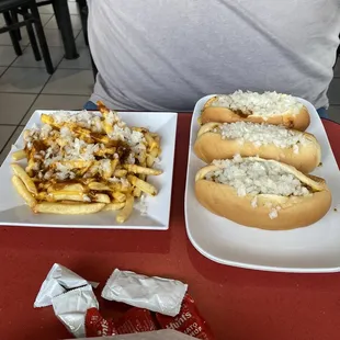 Chili cheese fries and three cheese coneys