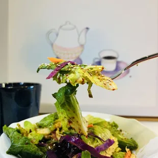 Bibamgo Spring Salad