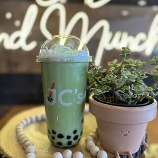 a cup of boba tea and a plant