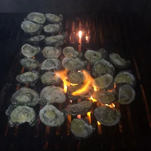 Grilled New Orleans style Oysters