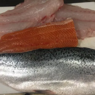 Fresh scamp grouper and Puget sound salmon