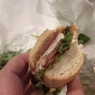 Italian Sub no onion