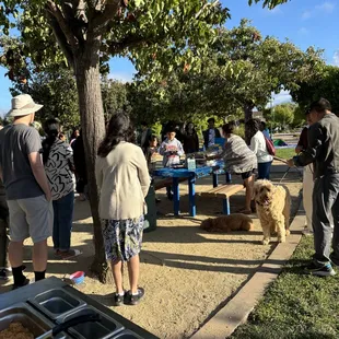 Bradley&apos;s surprise 11th Birthday party in Hayward was lit