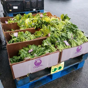 a crate of spinach and other vegetables