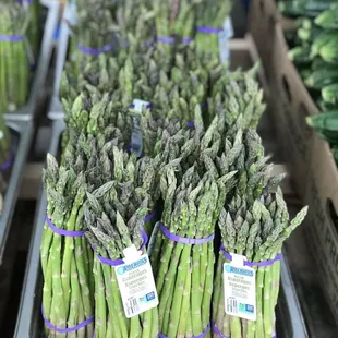 asparagus