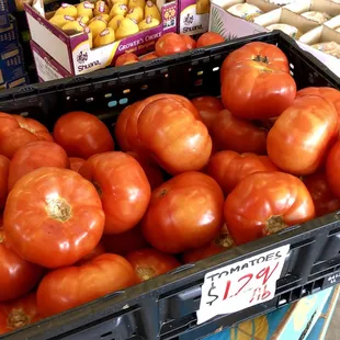 Beef Steak Tomatoes