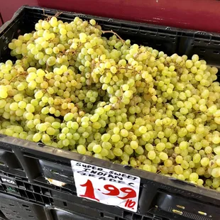 Indian grapes (these look like champagne grapes)