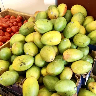 Huge Mangoes