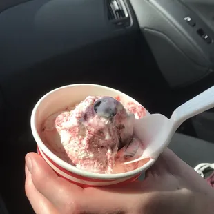 Raspberry chocolate ice cream