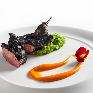 Squab