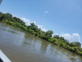 New Orleans Swamp Tours