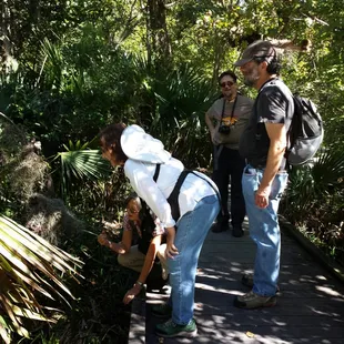 Checking out the snake, the insects, and spiders. We had a magnifying glass with us