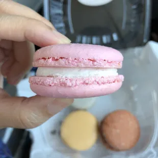 Raspberry macaroon