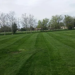 Open Area/Soccer Field