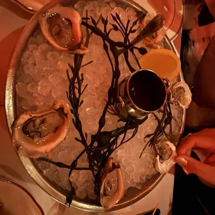 Oysters