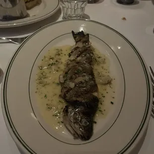 Trout