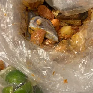 oysters, mussels, food, oysters and mussels, shellfish