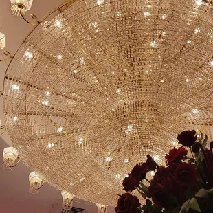 Chandelier in dining area