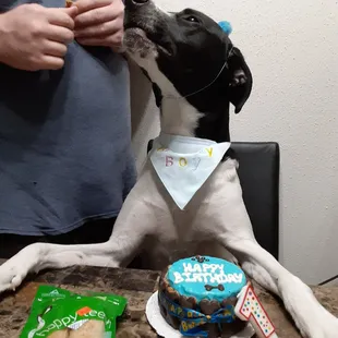 Great cake from Jefferson Feed on Veterans.