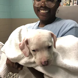 Taking care of puppies!