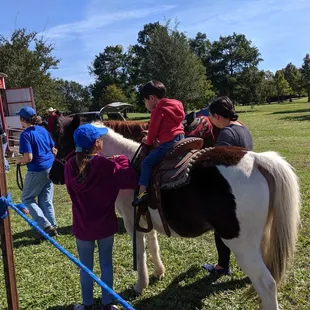 Pony rides
