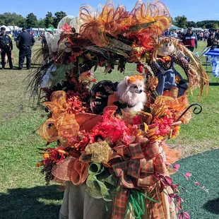 Dog Costume Contest