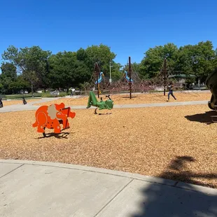 Large spider climbing area!