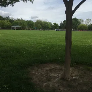 Not so great parking