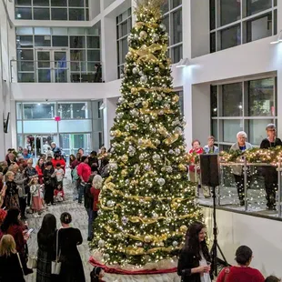 a large christmas tree