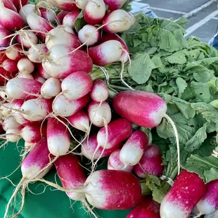 Radishes from Naked Greens