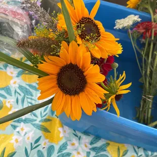 sunflowers in a blue container