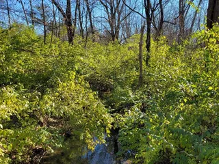ML "Red" Trabue Nature Reserve