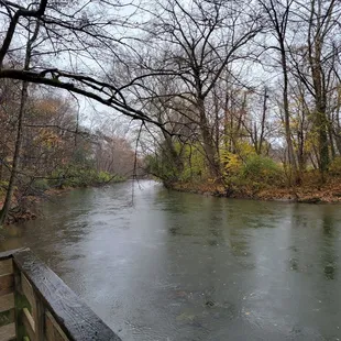 Alum Creek from boardwalk