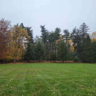 Greenspace