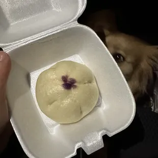 Ube Bao