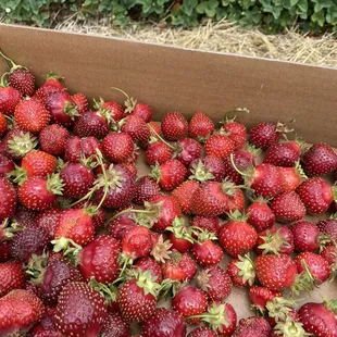 a box of strawberries