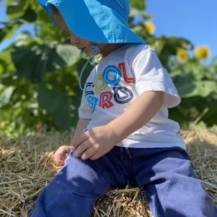 In the sunflower patch.