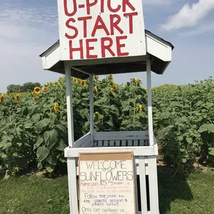 a sign in front of a field of sunflowers