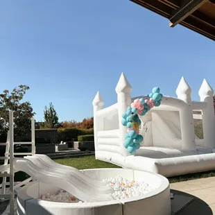 10x10 ball pit with Elsa bounce house