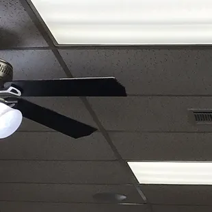 Fan blades covered with thick layer of dirt &amp; dust.