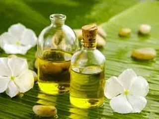 Intuitive Essentials