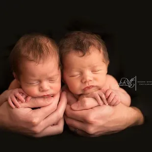 Newborn Twin Girls posed in daddy's hands