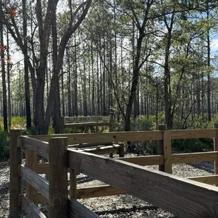 Prefer parking lot for my excursion