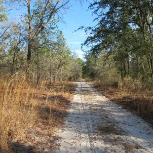 Roads double as a hiking/riding path